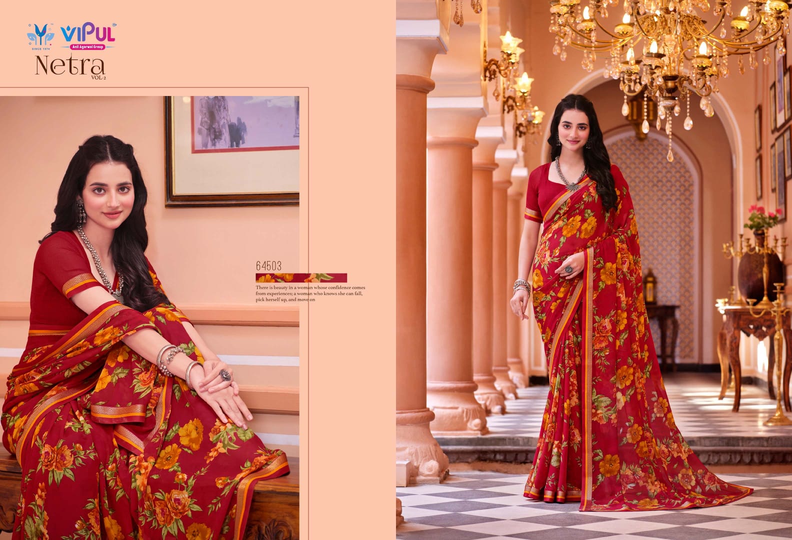 Netra Vol 2 Vipul Daily Wear Wholesale Printed Sarees Catalog